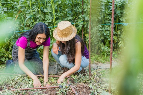 Se reconvertir en agriculture urbaine : le cap à franchir